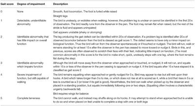 Assessing the Effects of Stocking Density on Turkey Tom Health and Welfare to 16 Weeks of Age